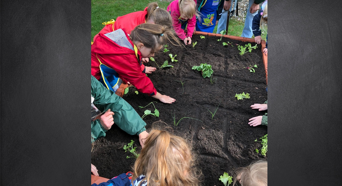 Anpflanzung im Gemüsebeet für Kinder angelegt von EDEKA Zierles in Oer-Erkenschwick