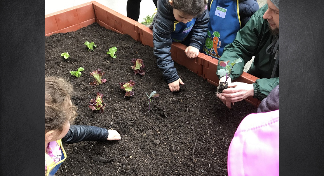 Kindergarten Hochbeet-Aktion 2017 von EDEKA Zierles in Oer-Erkenschwick