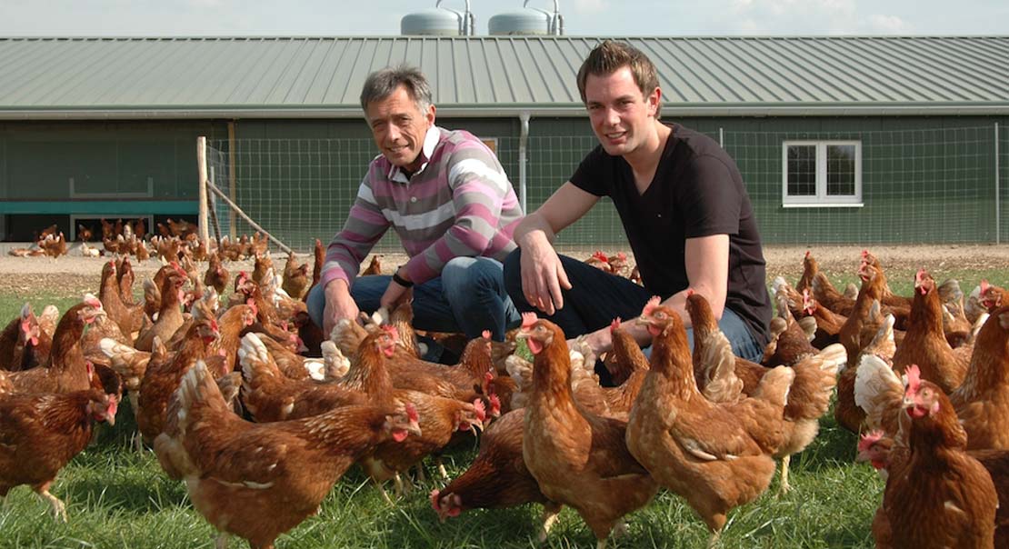 Geflügelhof Gut Eickenscheid Waltrop mit Hühnern auf der Webseite von EDEKA Zierles in Oer-Erkenschwick